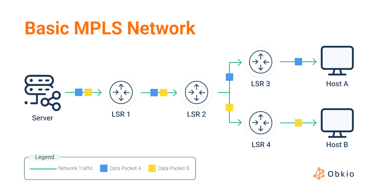 mpls issues on mpls network mpls issues on mpls network