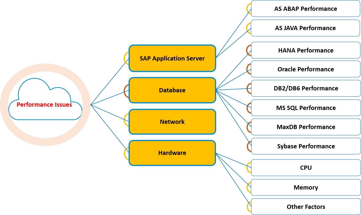 Top SAP Performance Issues SAP Performance Issues